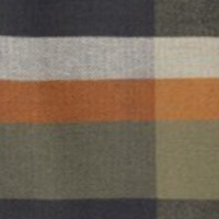 Olive Green Fall Plaid