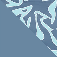 Petrol