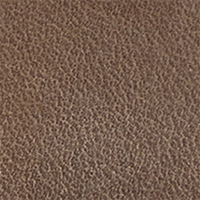 Fossil