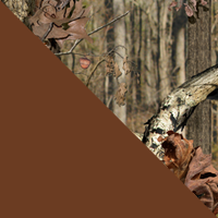 Brown/Mossy Oak Break-Up Infin