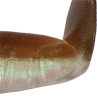 Green Gizzard