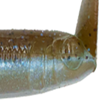 Hasu