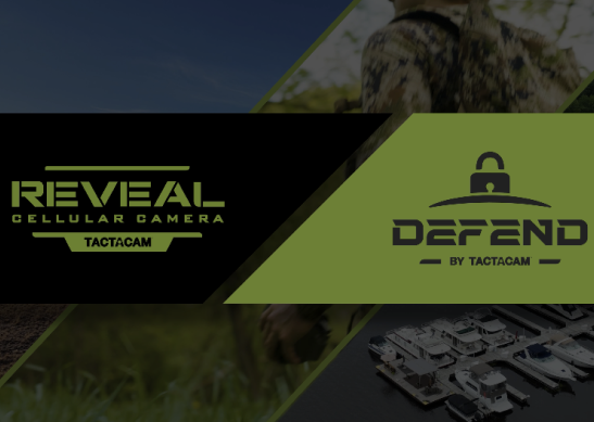 Federal Video Thumbnail