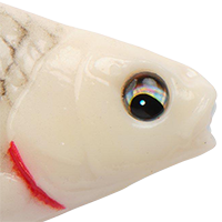 Bone