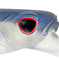 Blue Back Herring