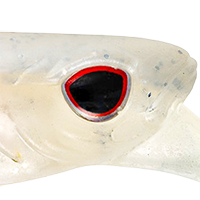 Ice