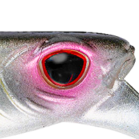 Silver Shad