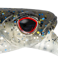 Smokey Shad