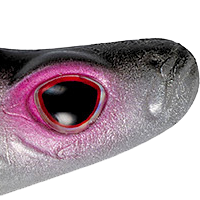 Silver Shad