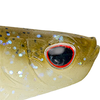 Tennessee Shad