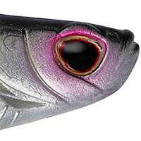 Silver Shad