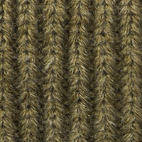 Winter Moss