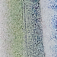 Blue Shad