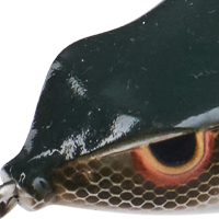 Killer Gill