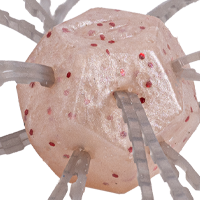White Sauce