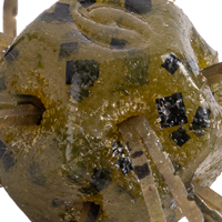 Green Pumpkin