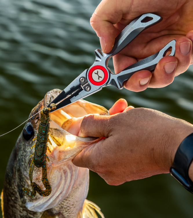 INX.label×Fishman FXB-ES52UL(+) el SERA INX.label×Fishman FXB-ES52UL(+) el SERA