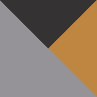 Alloy/Ebony/Orange
