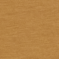 Cinnamon