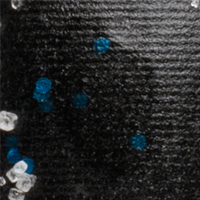 Black Blue