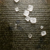 Green Pumpkin Orange