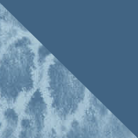 Petrol