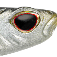 Natural Shad