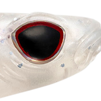 Ice