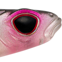 Silver Shad