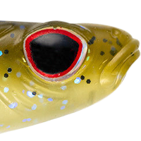 Tennessee Shad