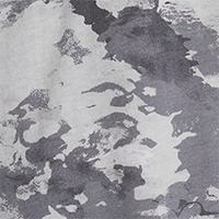 Mod Gray