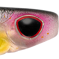 Silver Shad