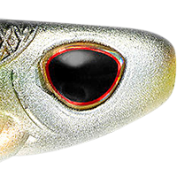 Natural Shad