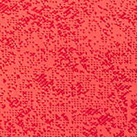 Racer Red