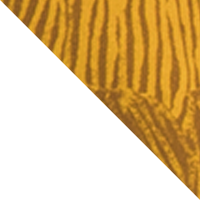 White Dune/Summit Gold