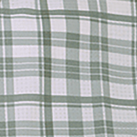 Kalamata Olive