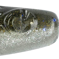 Gizzard Shad