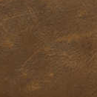 Sudan Brown