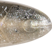 Shadow Shad