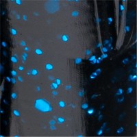 Black Blue
