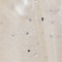 Pearl Silver Flake