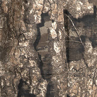 Realtree Timber