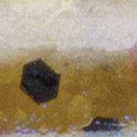 Goby