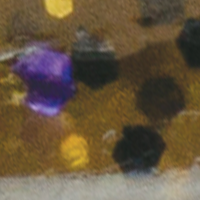 Green Pumpkin Goby