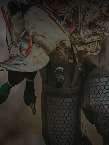 Avian-X / Zink Waterfowl Gear | Cabela's