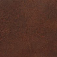 Prairie Brown