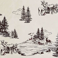 White Pine