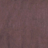 Sarsaparilla