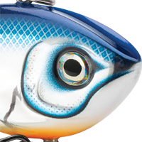 Pro Blue Shad