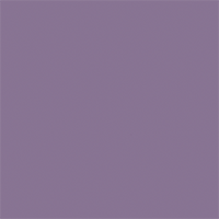 Violet Mirror